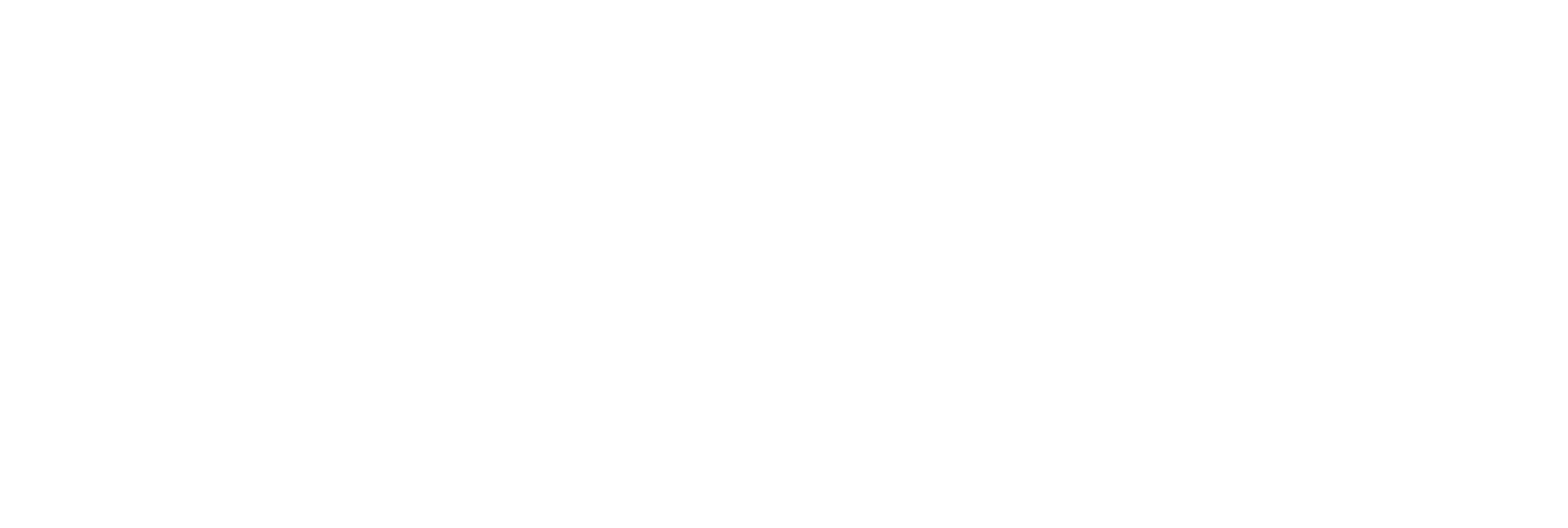 Erfolgsimpulse_Logo5